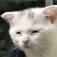 Hurting