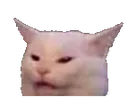 Catdisgust Discord Emoji