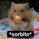 sorbito