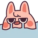 dwaekkicry