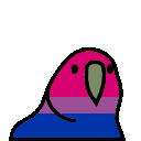 biparrot biparrot