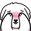 tqsShy