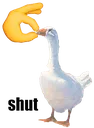 Gooseshut