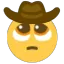 Uwucowboy Discord Emoji