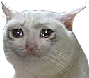f_wcatcry0 Discord emoji