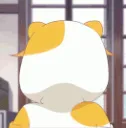 catloli