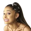 arianagrin Discord Emoji