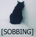 sobCat