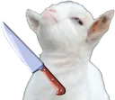 bobknife