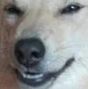 heheh