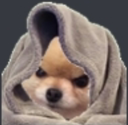 mr_doggy_in_blanket Discord emoji