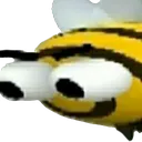 buzz_stare