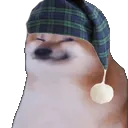 shibsleep