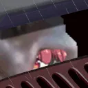 MarineAhoyFishGutter