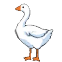 GVgooseHonk GVgooseHonk