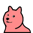 dogeparrot