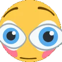 blushlook blushlook