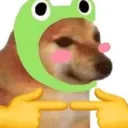 hundshy