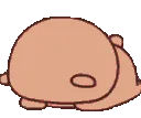 mr_pandacry