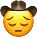 pensivecowboy