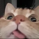 emoji_61
