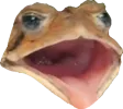 Frogchamp Discord Emoji