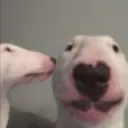 WalterKiss