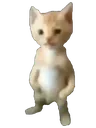 7catstand Discord Emoji
