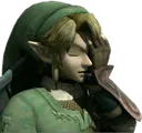 linkfacepalm