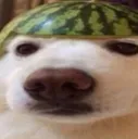 melongdong_Kieran_emoji melongdong_Kieran_emoji