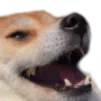 hehe hehe