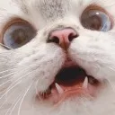 nanawow
