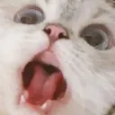 nanaahh nanaahh