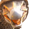 TherizinoEmote2_96