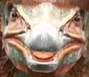 TherizEmote