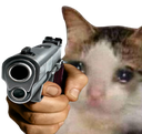 3679sadcatgun Discord Emoji - BOOP