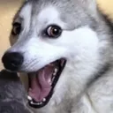 HAAAAAAAAAAA