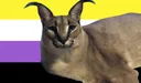 EnbyFloppa