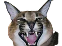 FloppaPog_Plogga