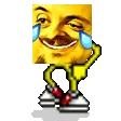 joyPls
