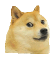 dogespin Discord Emoji