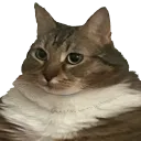 feedmeseymour feedmeseymour
