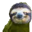 SlothParty