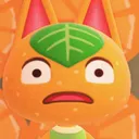 tangyshocked