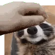 pethepenis