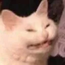 madcat