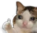 sd_oki