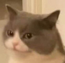 userious Discord emoji