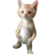 catFlex