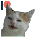hpcat
